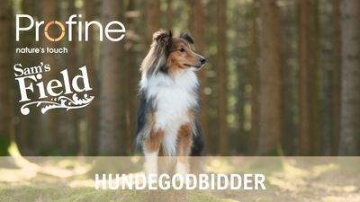 Hundegodbidder - se mere Hundegodbidder - se mere